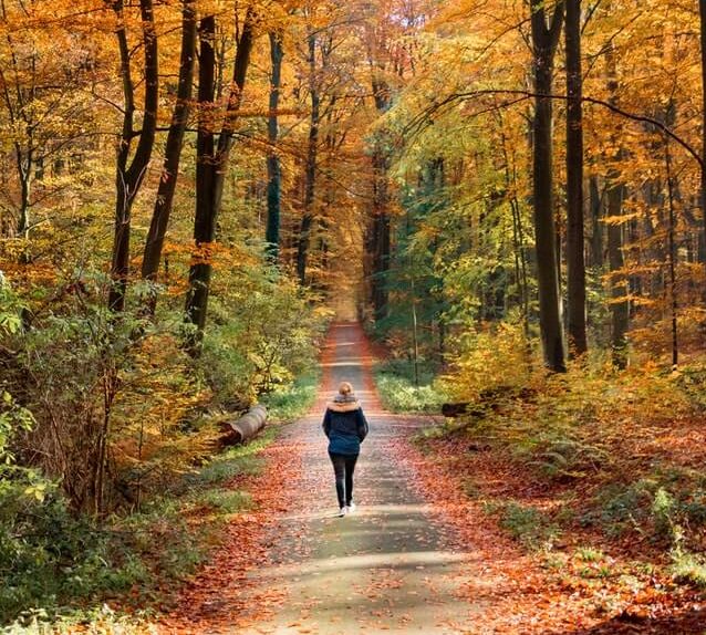 jak wzmocnić odporność - aktywność fizyczna spacer